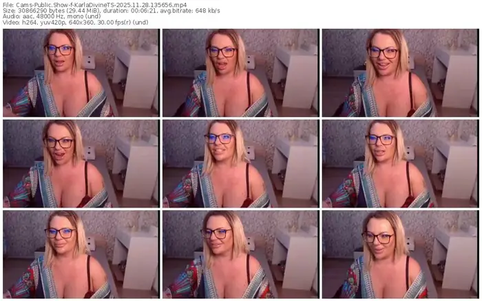 2025/11/28/cams-karladivinets-13-56-56