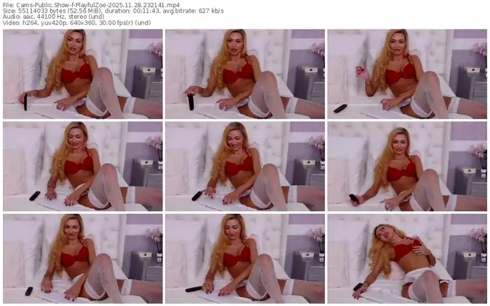 2025/11/28/cams-playfulzoe-23-21-41