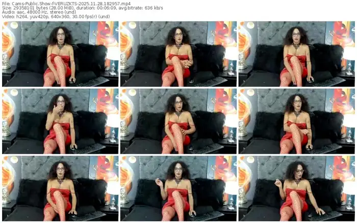 2025/11/28/cams-veruzkts-18-29-57