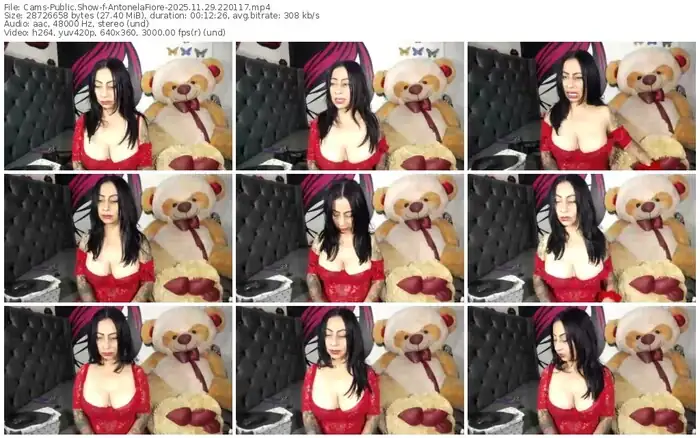 2025/11/29/cams-antonelafiore-22-01-17