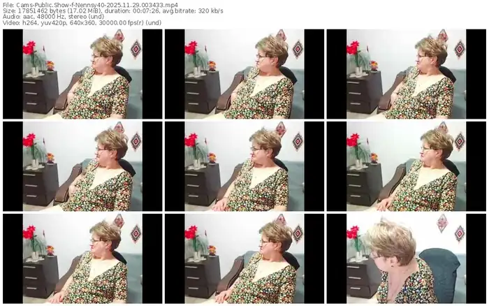 2025/11/29/cams-nennsy40-00-34-33