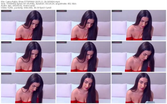 2025/11/29/cams-ttiffany-00-56-04