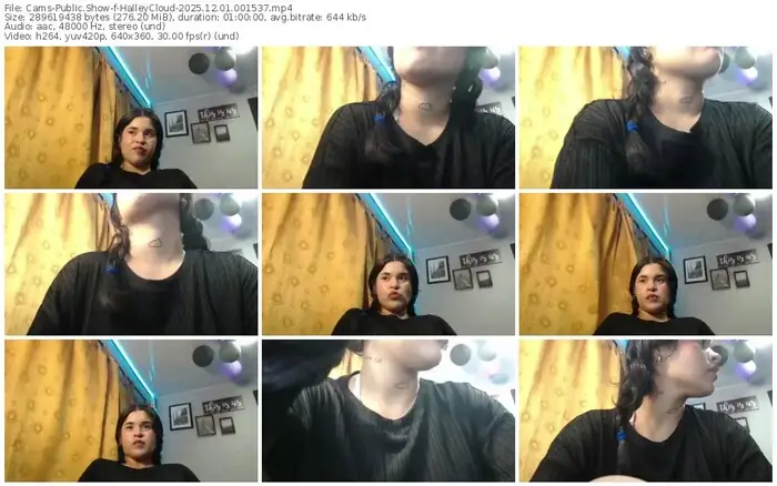 2025/12/01/cams-halleycloud-00-15-37