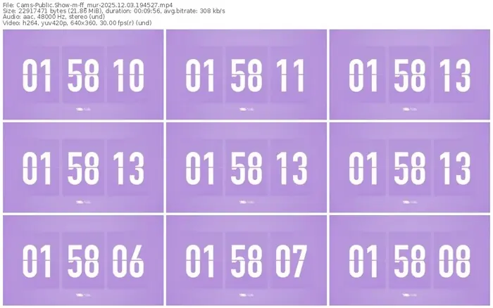 2025/12/03/cams-ff_mur-19-45-27