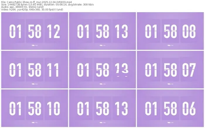 2025/12/04/cams-ff_mur-04-58-33