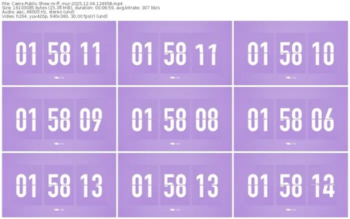 2025/12/04/cams-ff_mur-12-49-58