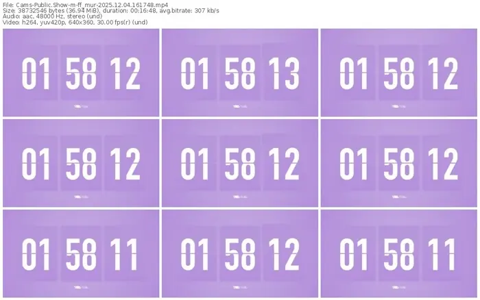 2025/12/04/cams-ff_mur-16-17-48