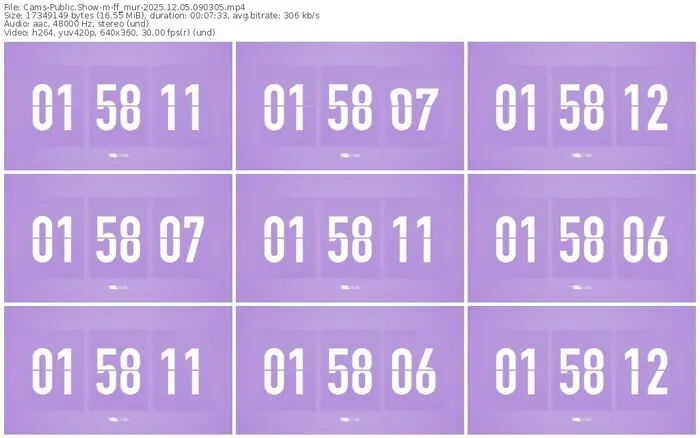 2025/12/05/cams-ff_mur-09-03-05