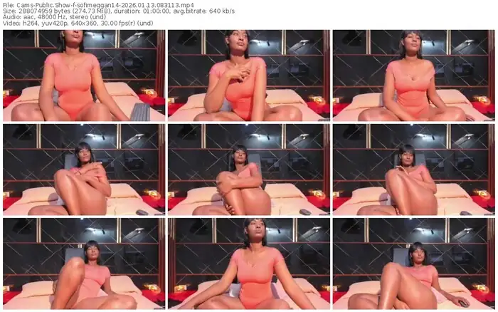 2026/01/13/cams-sofimeggan14-08-31-13