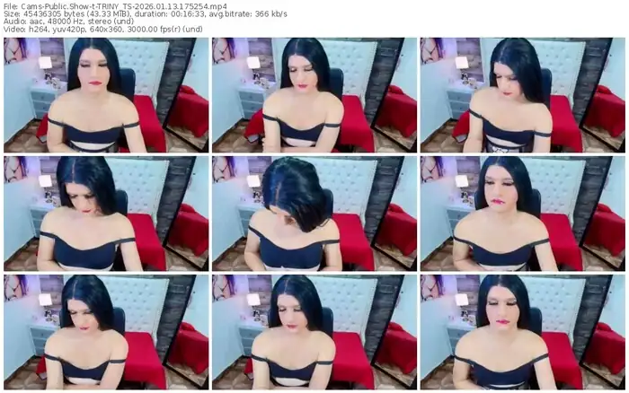 2026/01/13/cams-triny_ts-17-52-54