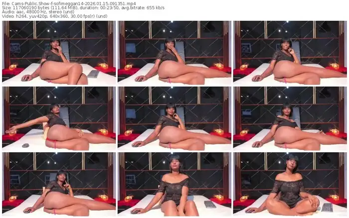 2026/01/15/cams-sofimeggan14-09-13-51