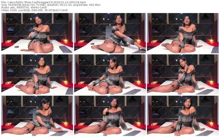 2026/01/16/cams-sofimeggan14-03-51-18