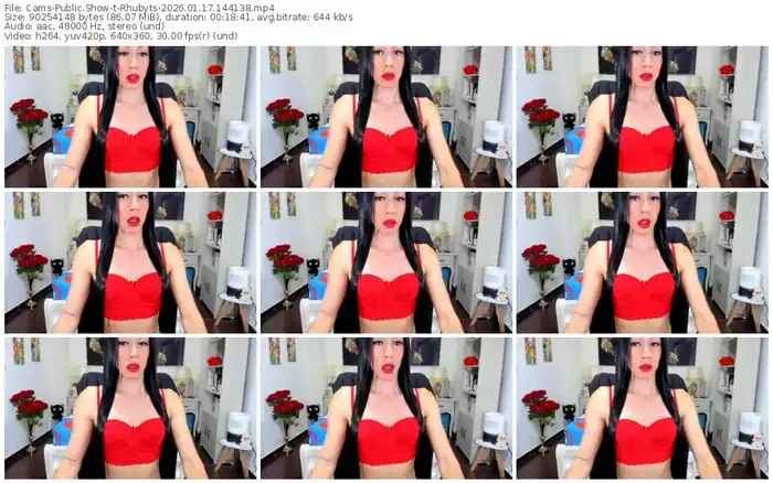 2026/01/17/cams-rhubyts-14-41-38