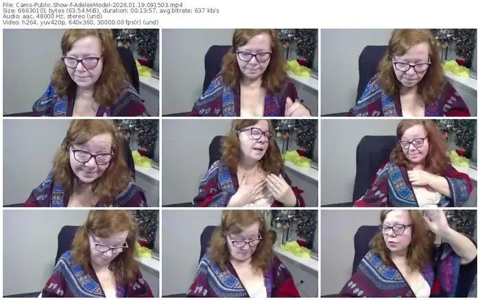 2026/01/19/cams-adeleemodel-09-15-03