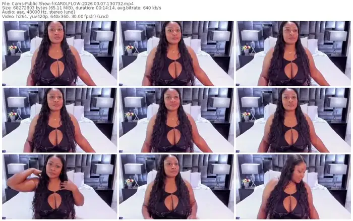 2026/03/07/cams-karolflow-13-07-32