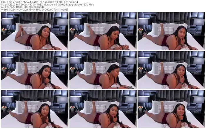 2026/03/08/cams-karolflow-17-31-06