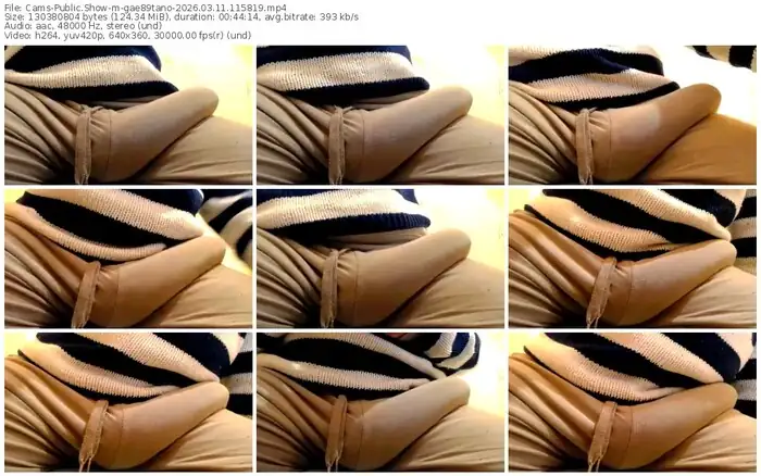 2026/03/11/cams-gae89tano-11-58-19