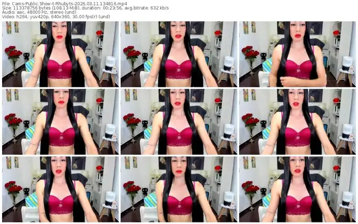 2026/03/11/cams-rhubyts-13-48-16