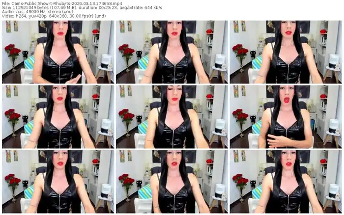 2026/03/13/cams-rhubyts-17-46-58