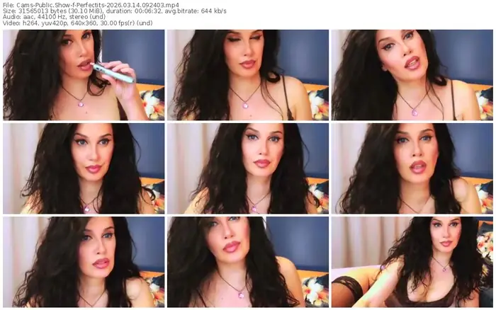 2026/03/14/cams-perfectits-09-24-03