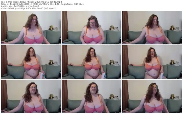 2026/03/14/cams-tynak-10-56-41