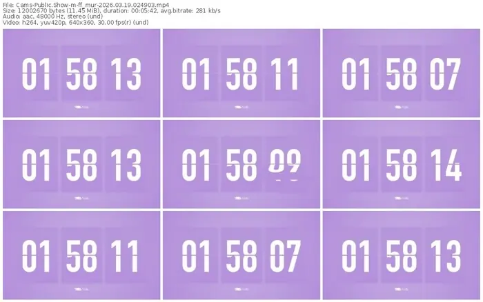 2026/03/19/cams-ff_mur-02-49-03
