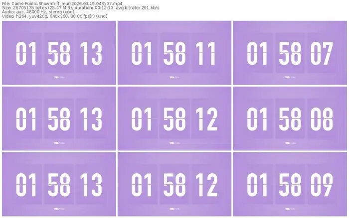 2026/03/19/cams-ff_mur-04-31-37