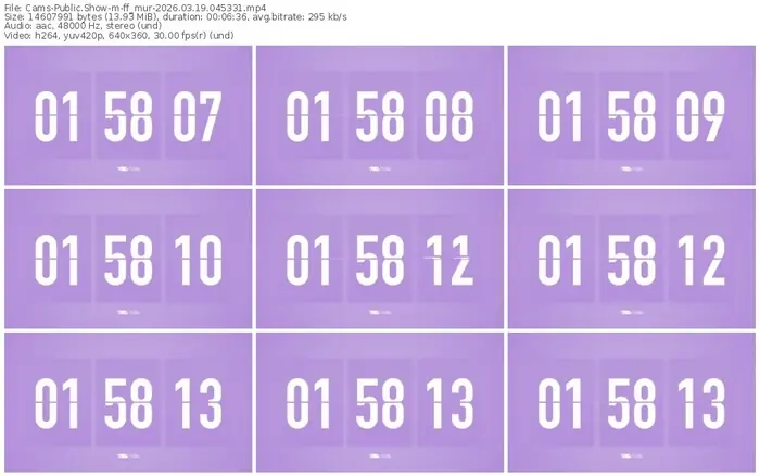 2026/03/19/cams-ff_mur-04-53-31