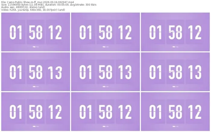 2026/03/19/cams-ff_mur-06-29-47
