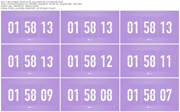 2026/03/19/cams-ff_mur-09-04-31