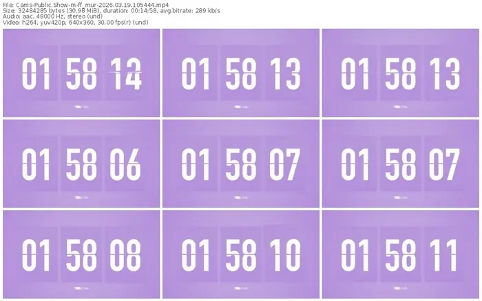 2026/03/19/cams-ff_mur-10-54-44