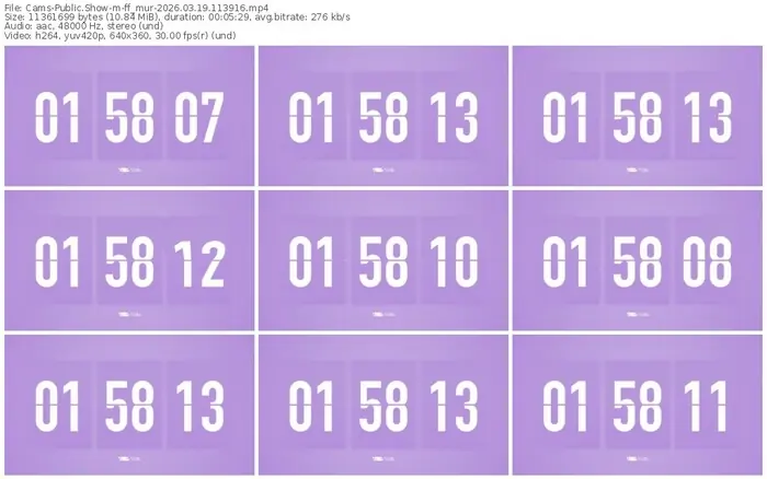 2026/03/19/cams-ff_mur-11-39-16