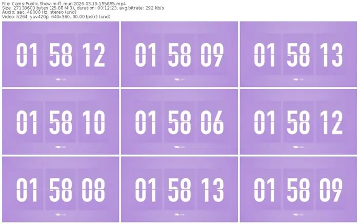 2026/03/19/cams-ff_mur-15-58-55