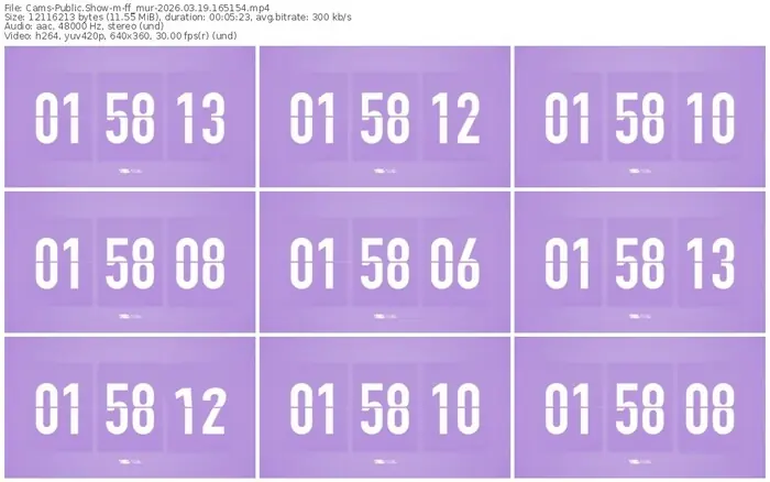2026/03/19/cams-ff_mur-16-51-54