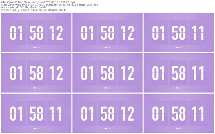 2026/03/19/cams-ff_mur-17-31-47