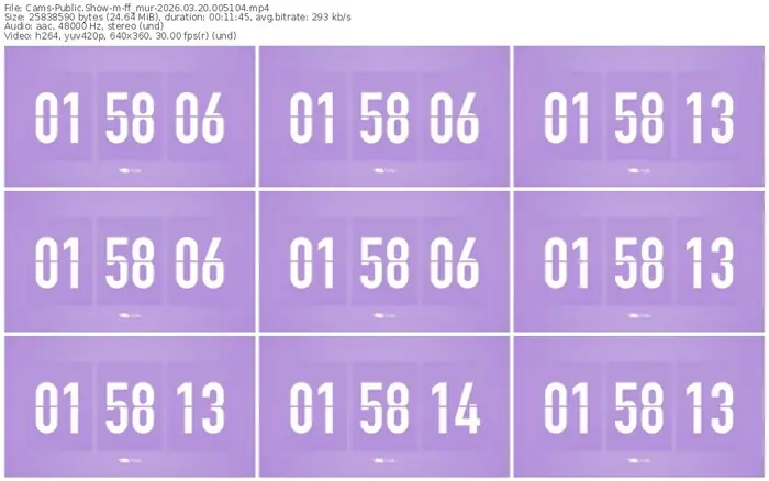 2026/03/20/cams-ff_mur-00-51-04