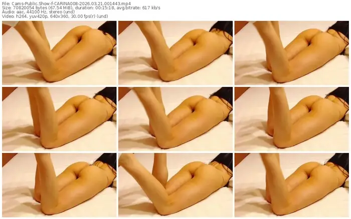 2026/03/21/cams-carina008-00-14-43