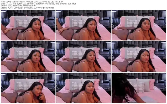 2026/03/21/cams-karolflow-16-25-47