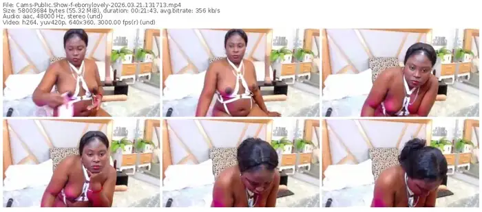2026/03/21/cams-ebonylovely-13-17-13