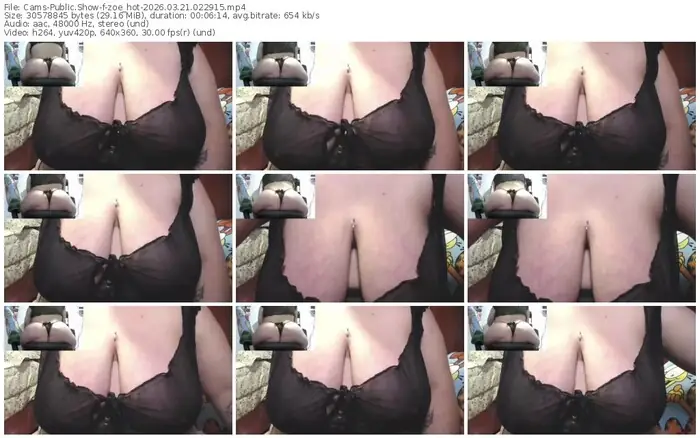 2026/03/21/cams-zoe_hot-02-29-15