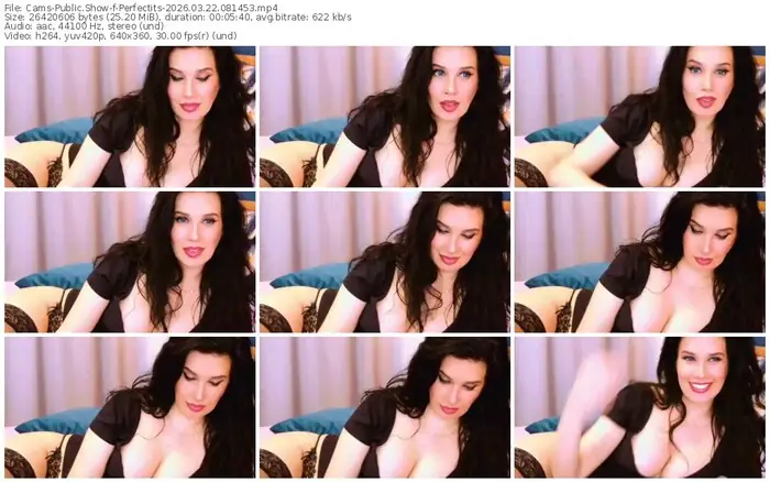 2026/03/22/cams-perfectits-08-14-53