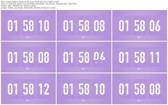 2026/03/23/cams-ff_mur-17-58-57
