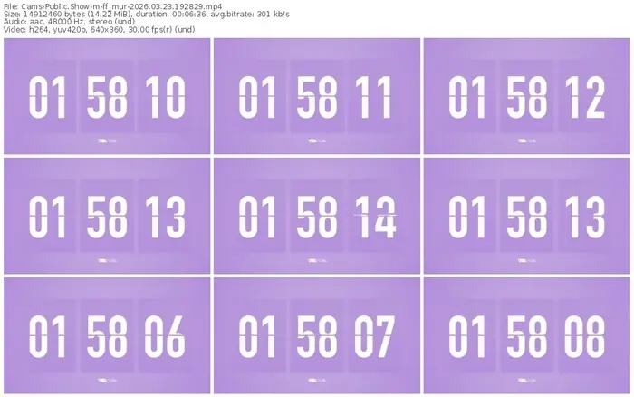 2026/03/23/cams-ff_mur-19-28-29