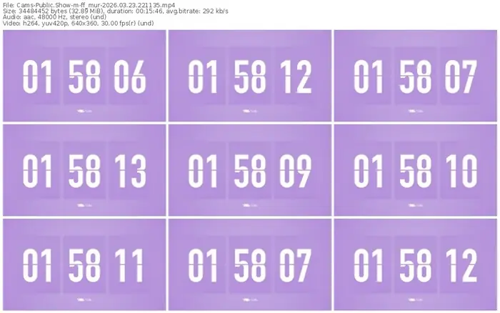 2026/03/23/cams-ff_mur-22-11-35