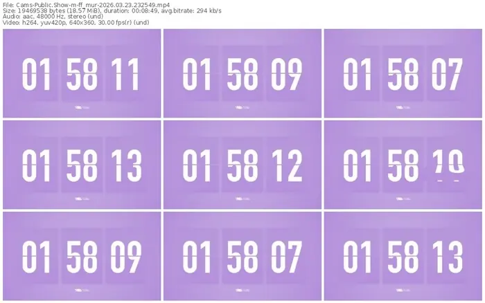 2026/03/23/cams-ff_mur-23-25-49
