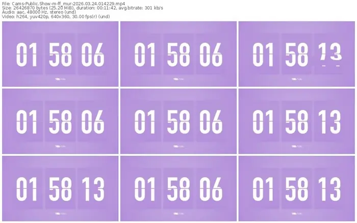 2026/03/24/cams-ff_mur-01-42-29