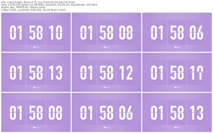 2026/03/24/cams-ff_mur-04-07-47