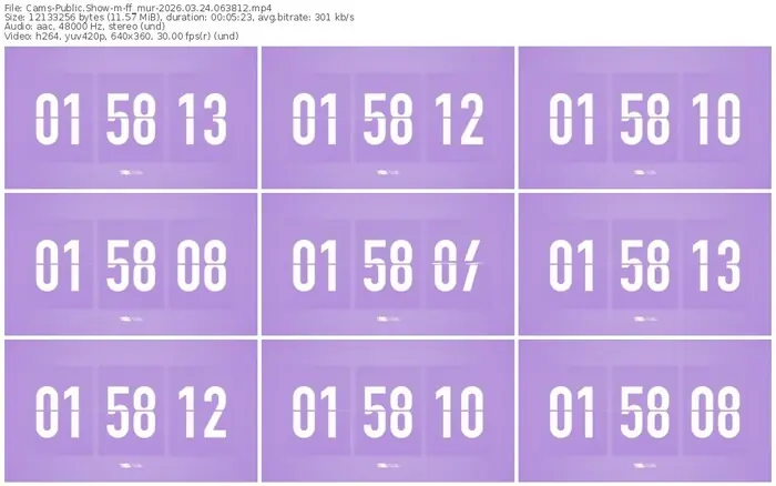 2026/03/24/cams-ff_mur-06-38-12