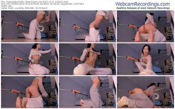 2022/12/11/chaturbate-aerri_lee-12-33-22