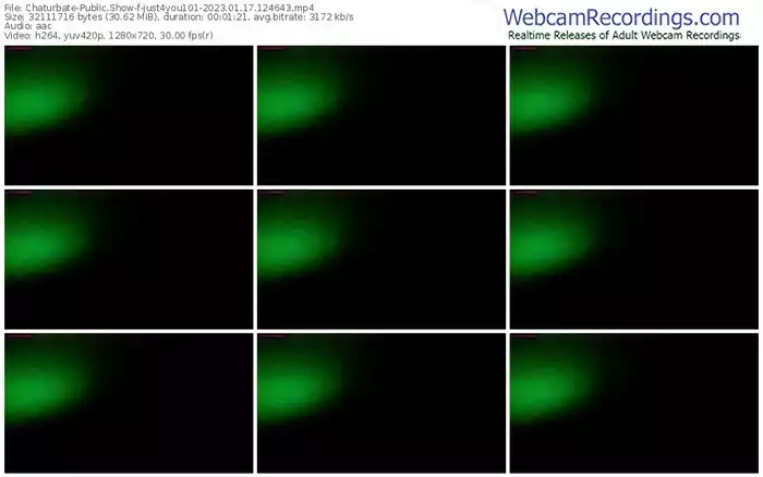 2023/01/17/chaturbate-just4you101-12-46-43